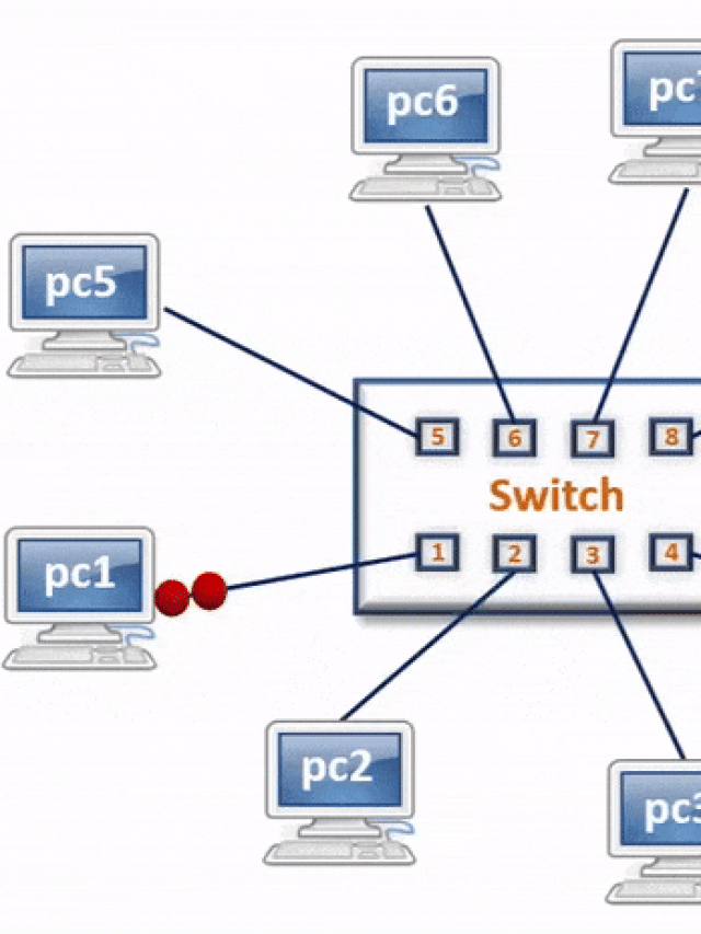 How Switch Device Works